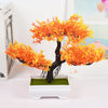 Hearthside Artificial Bonsai Tree Orange