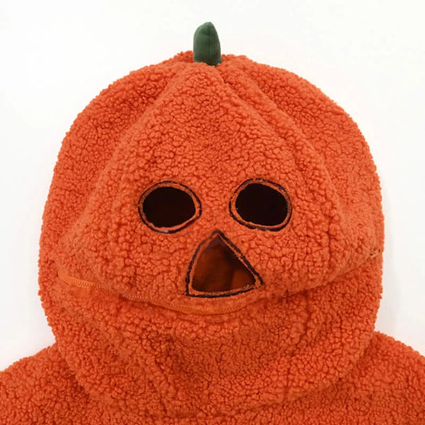 Pumpkin Plush Hoodie