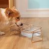 Happy Tails Transparent Pet Feeder Bowl