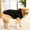 Happy Tails Dog Hoodie