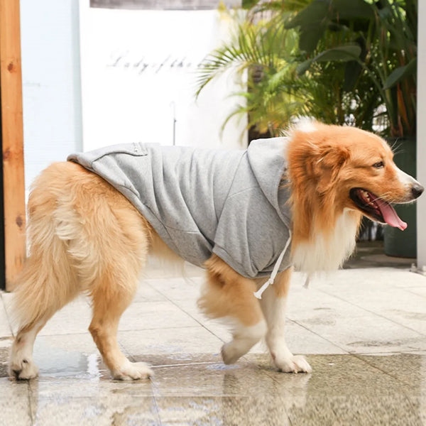 Happy Tails Dog Hoodie