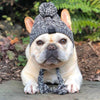 Dog Pom Beanie