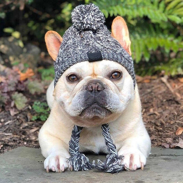 Dog Pom Beanie