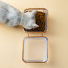 Happy Tails Transparent Pet Feeder Bowl