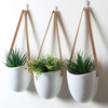 Skarva Hanging Planters