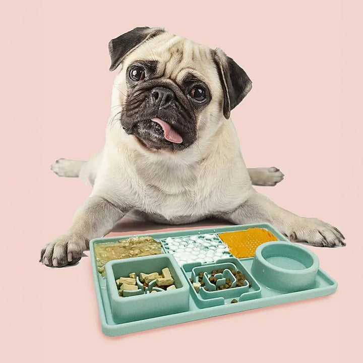 Happy Tails 3 in 1 Slow Feeder Tray for Dogs