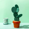 Cactus Pot Coaster Set