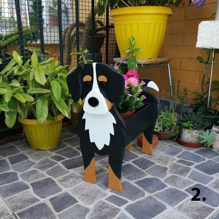 Dog Planter 2 - Bern Boyero
