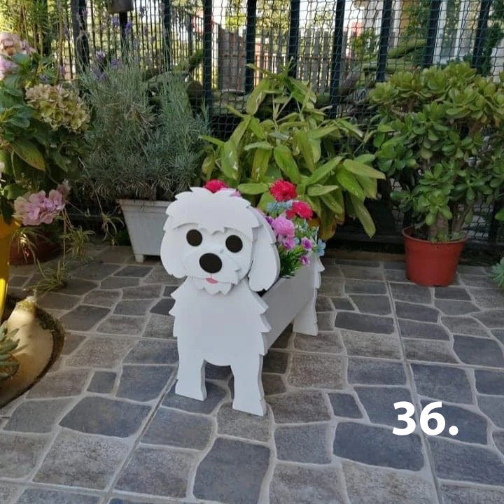 Dog Planter 36 - Maltese