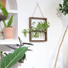 Garden Essentials Hanging Hydroponic Planter