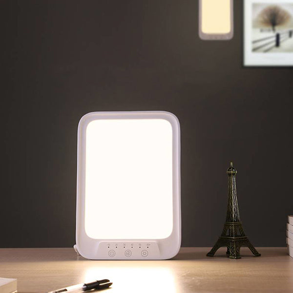 HomeGenius Light Therapy Lamp