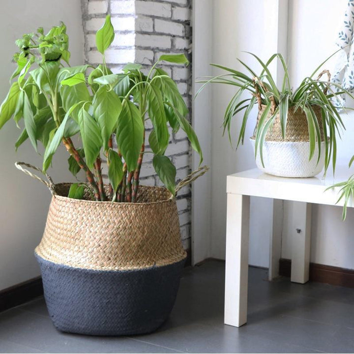 Handmade Woven Basket for Plants Half White