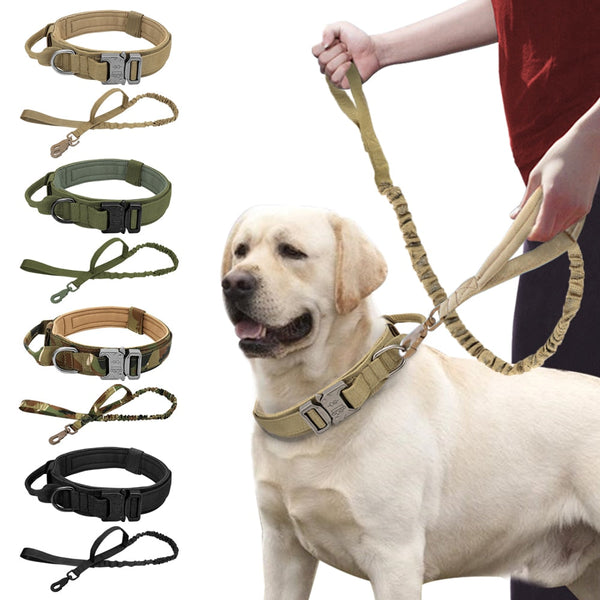 RoamReady Tactical Dog Collar