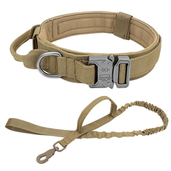 RoamReady Tactical Dog Collar Khaki Set / M