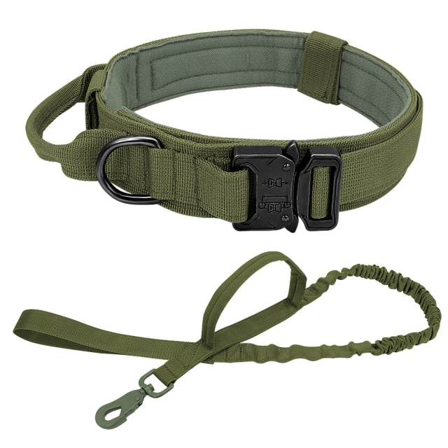 RoamReady Tactical Dog Collar Green Set / M