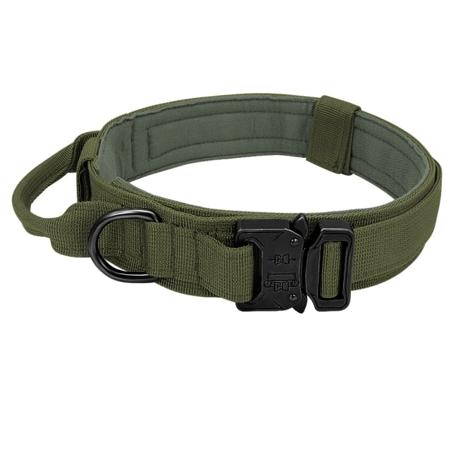 RoamReady Tactical Dog Collar Green Collar / M
