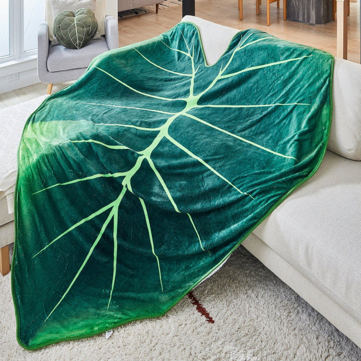 Giant Regal Shield Leaf Blanket